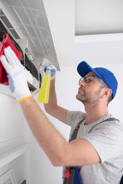 Best Air Duct Mold Removal  in USA